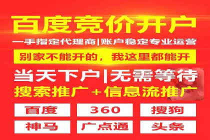 SEM广告创意与执行：成功案例分享
